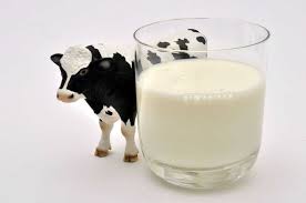 Cơ thể con người rất khó hấp thu canxi trong sữa động vật